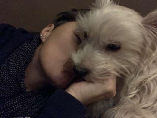 Dogorama Photo Challenge - Be my valentine-Beitrag-Bild