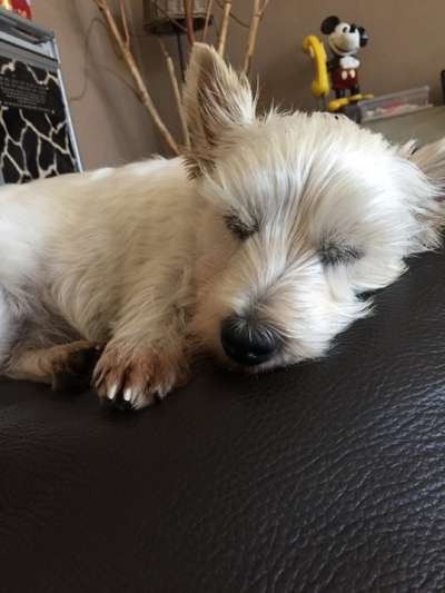 Blick fürs Detail!-Beitrag-Bild