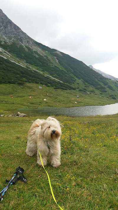 Bergfreunde-Beitrag-Bild