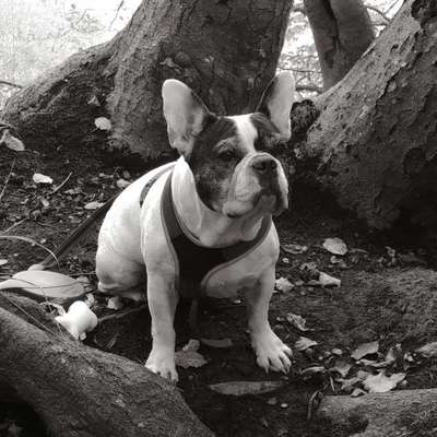 Lieblingsbild-Beitrag-Bild