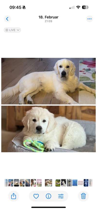 Ach, wie schnell die Zeit vergeht-Beitrag-Bild