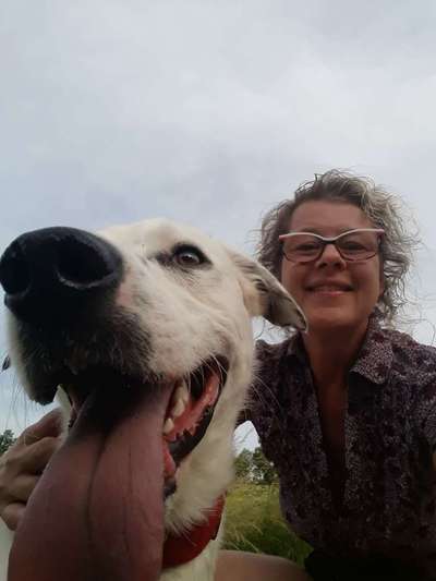 Dogorama Photo Challenge - Einmal lächeln bitte-Beitrag-Bild