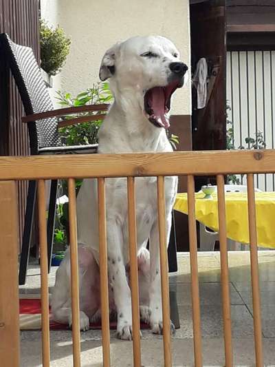 20. Handy -Foto-Callenge-Beitrag-Bild