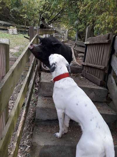 Fotochallenge liebespaare-Beitrag-Bild