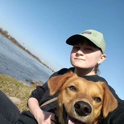 Hundetreffen-Kennenlern-Schnuppern-Bild