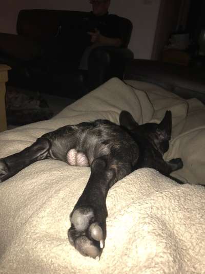 Die unbequemsten und lustigsten Schlafpositionen-Beitrag-Bild