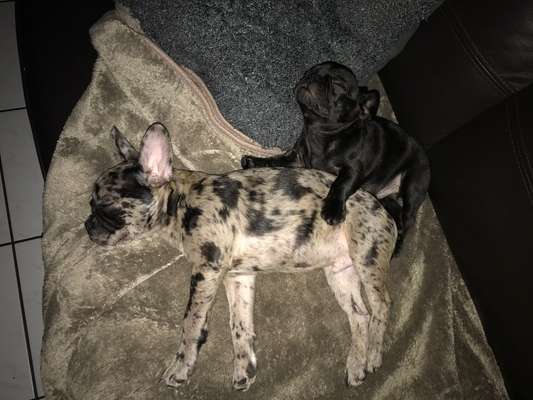 Die unbequemsten und lustigsten Schlafpositionen-Beitrag-Bild