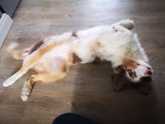 Fotochallenge Nr.65-Beitrag-Bild