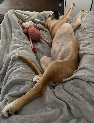 Challenge Nr 14
Eure Fellnasen auf ihrem Lieblingsplatz-Beitrag-Bild