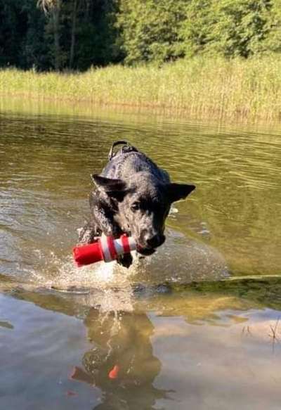 35. Handy Foto Challenge - Das nasse Element-Beitrag-Bild