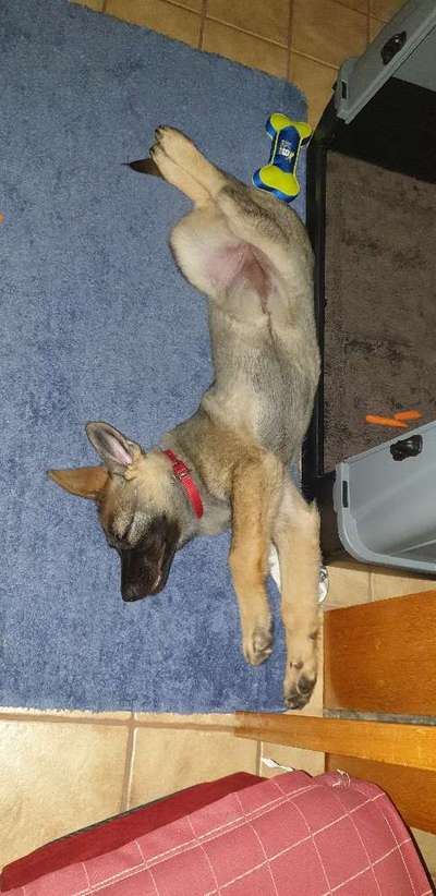 CHALLENGE NR. 34 - Liege-/Schlafpositionen-Beitrag-Bild