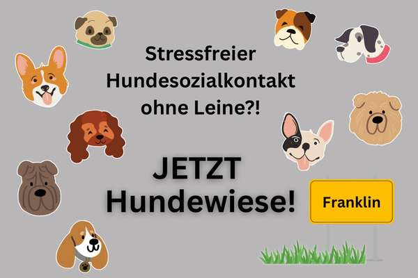 Hundetreffen-Petition für eine Hundewiese (Franklin)-Bild