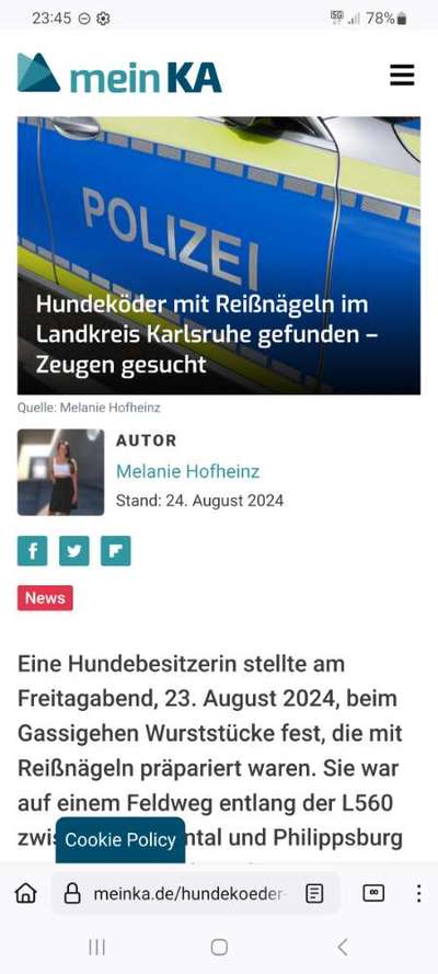 Giftköder-Köder mit Reisnägeln-Bild