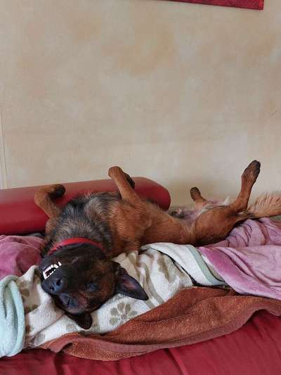 Gemeinsames Kuscheln im Bett!-Beitrag-Bild