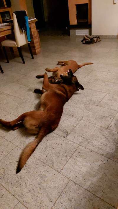 Gemeinsames Kuscheln im Bett!-Beitrag-Bild