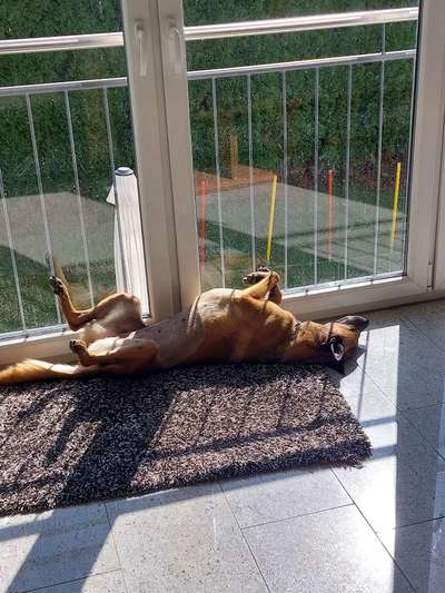 Gemeinsames Kuscheln im Bett!-Beitrag-Bild