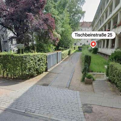 Giftköder-Eichenprozessionsspinner-Bild