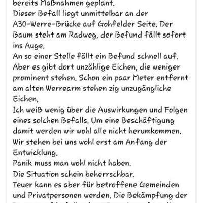 Giftköder-Eichenprozessionsspinner-Bild