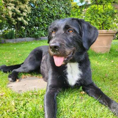 12. Farben Foto Challenge --- Braun-Beitrag-Bild