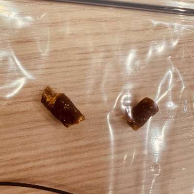 Giftköder-Giftköder-Bild