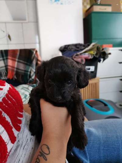 Sie werden so schnell erwachsen ...-Beitrag-Bild