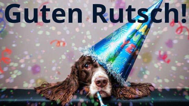 Rhodesian Ridgeback-Beitrag-Bild