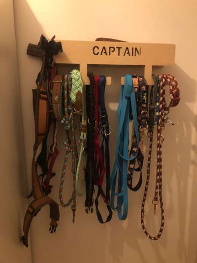 Hundegarderobe-Beitrag-Bild