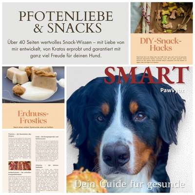 %{de_profession_title}-Gratis: Snack-Guide-Bild