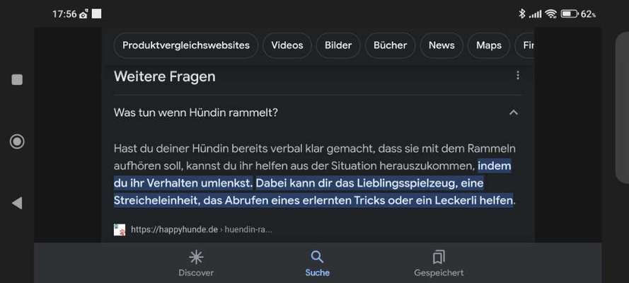 Hündin besteigt mich-Beitrag-Bild