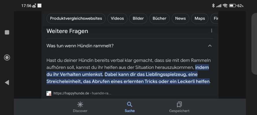 Hündin besteigt mich-Beitrag-Bild