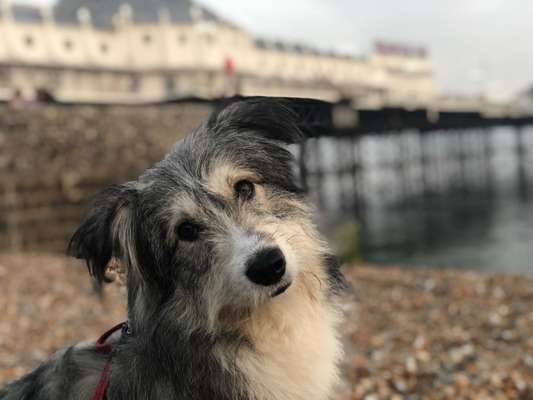 Fotochallange Nr. 57     PORTRÄT.   Beendet!!!!!!!!-Beitrag-Bild