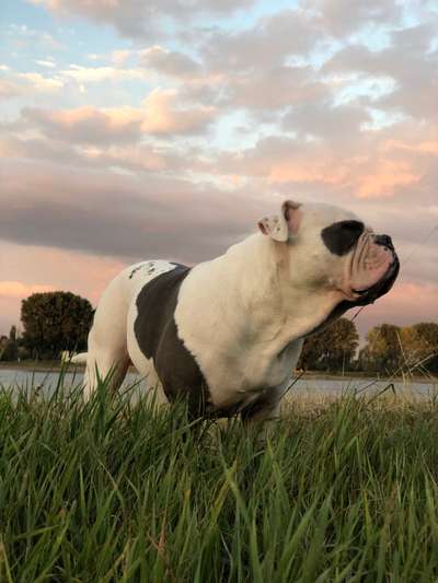 Fotochallenge Nr. 62 Romantische Momente-Beitrag-Bild