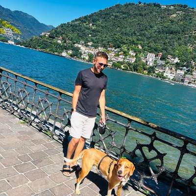 Hundetreffen-Spielrunde