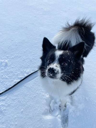 Fotochallenge Nr. 67: Euer Lieblingsbild-Beitrag-Bild