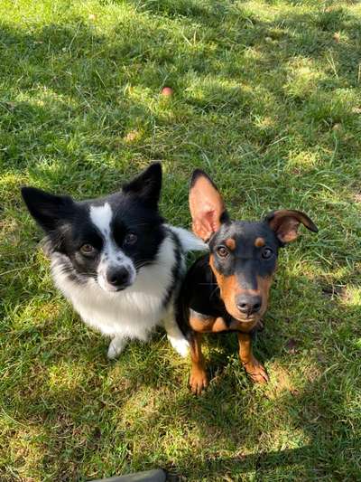 Handy-Foto Challange Nr. 10-Beitrag-Bild