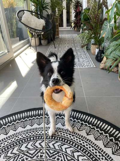 Fotochallenge Nr. 64-Beitrag-Bild