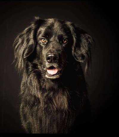 Fotochallange Nr. 57     PORTRÄT.   Beendet!!!!!!!!-Beitrag-Bild