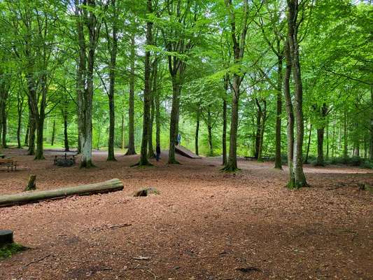 TierschutzhundeStammtisch🐕-Beitrag-Bild
