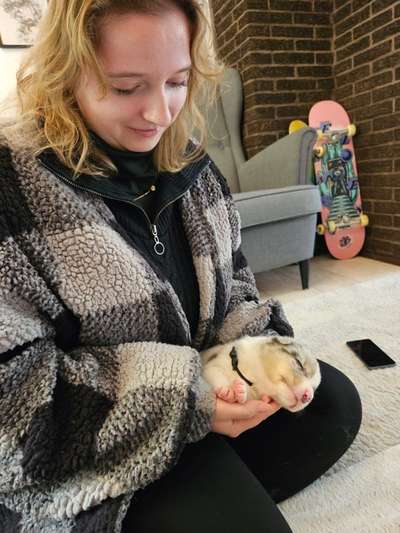 Wie kamst du zu deinem Hund?-Beitrag-Bild