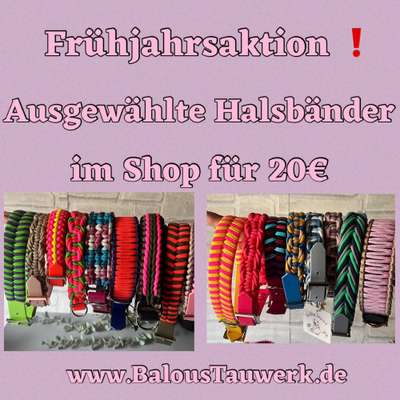 %{de_profession_title}-Frühjahrsaktion -Halsbänder für 20€-Bild