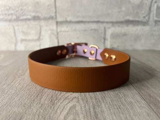 %{de_profession_title}-Biothane Halsband 2 Farbig 41-45cm-Bild