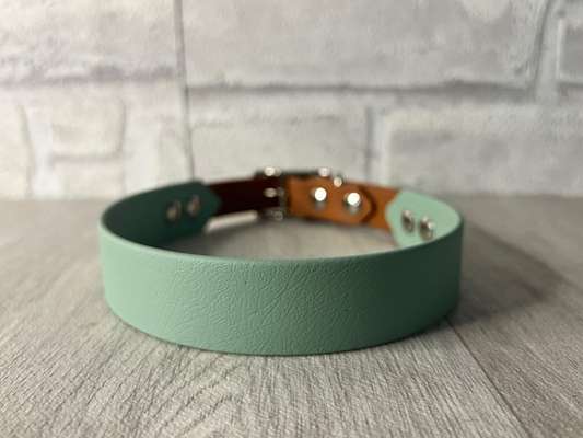 %{de_profession_title}-Biothane Halsband 2 Farbig 40-46cm-Bild