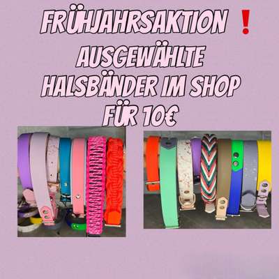 %{de_profession_title}-Frühjahrsaktion bei BalousTauwerk.de-Bild