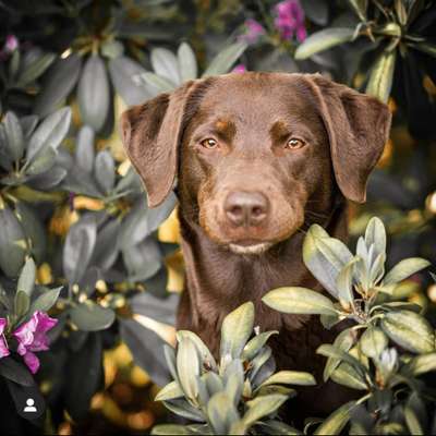 Fotochallange Nr. 57     PORTRÄT.   Beendet!!!!!!!!-Beitrag-Bild