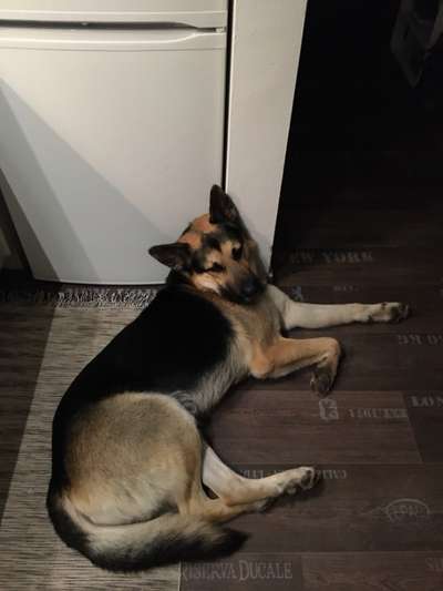 müde der kleine-Beitrag-Bild