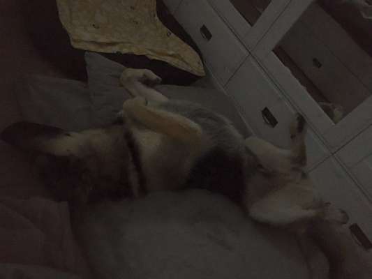 müde der kleine-Beitrag-Bild