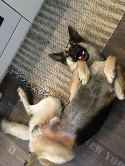 Fotochallange Nr. 6 Die irrsten Blicke-Beitrag-Bild