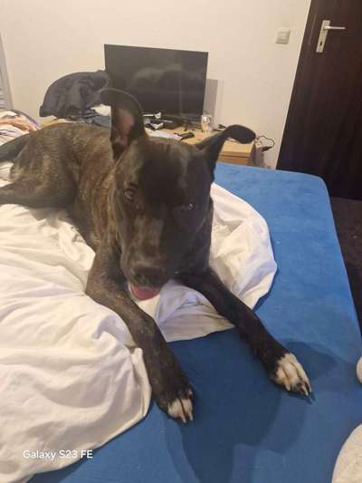 Gen-Test Empfehlungen-Beitrag-Bild