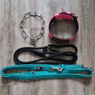 Hundezubehör in M/L-Beitrag-Bild