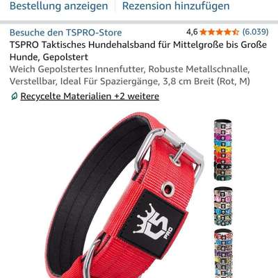 Hundezubehör in M/L-Beitrag-Bild
